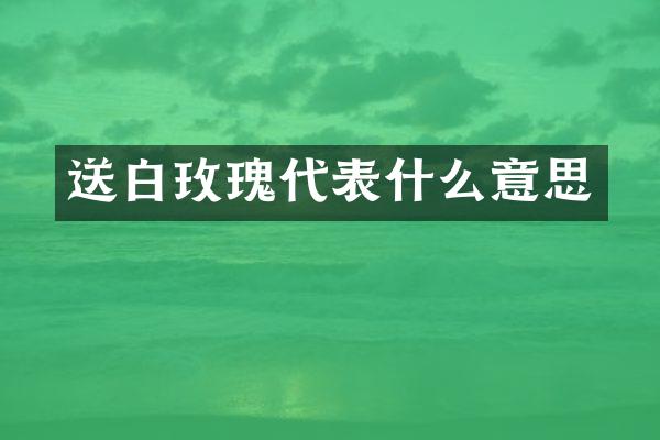 送白玫瑰代表什么意思