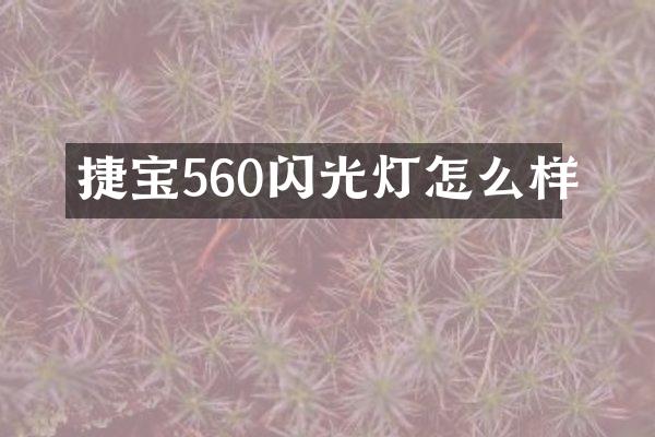 捷宝560闪光灯怎么样