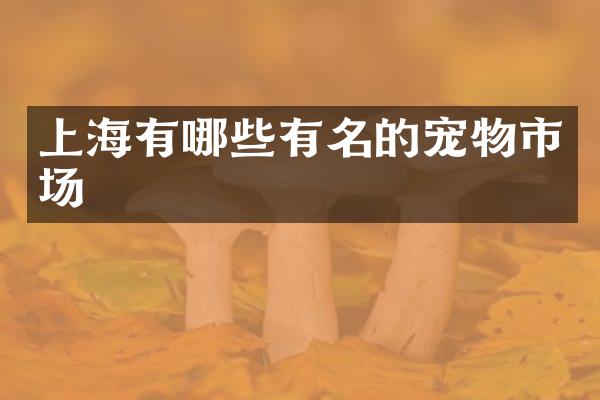 上海有哪些有名的宠物市场