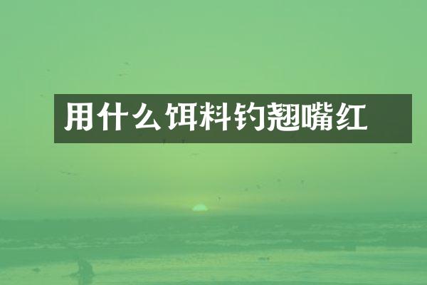 用什么饵料钓翘嘴红鲌