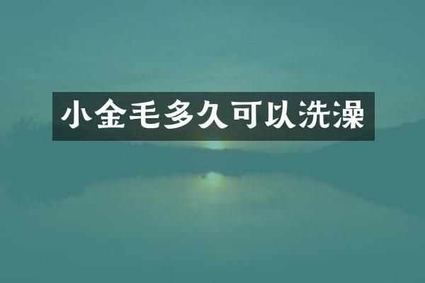 小金毛多久可以洗澡