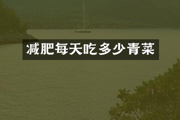 减肥每天吃多少青菜