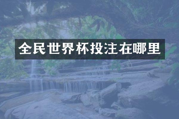 全民世界杯投注在哪里
