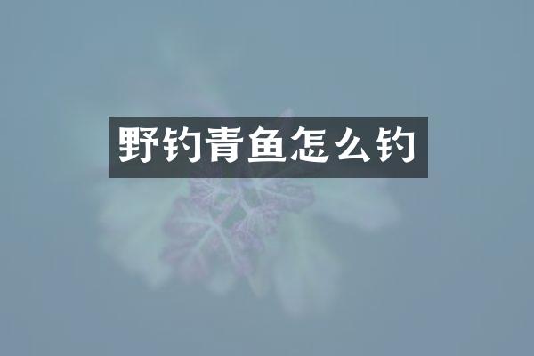 野钓青鱼怎么钓