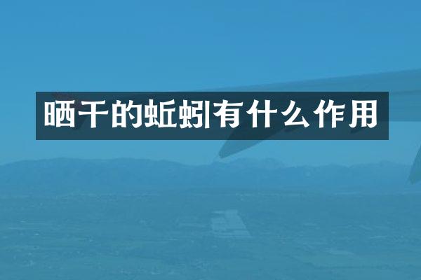 晒干的蚯蚓有什么作用