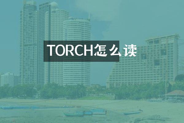 TORCH怎么读