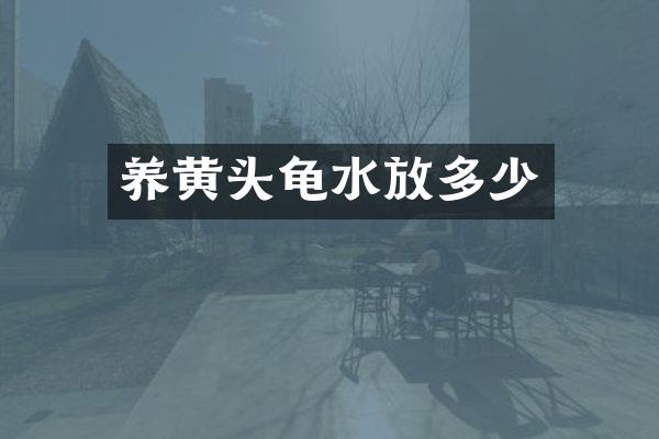 养黄头龟水放多少
