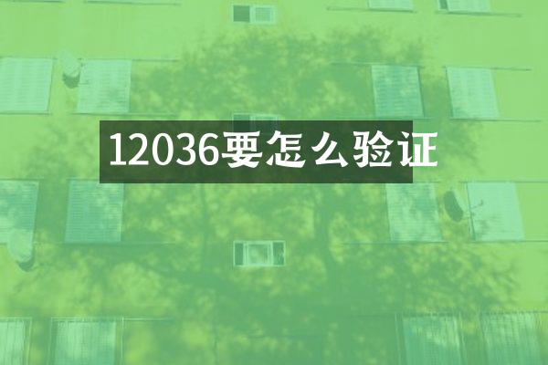 12036要怎么验证