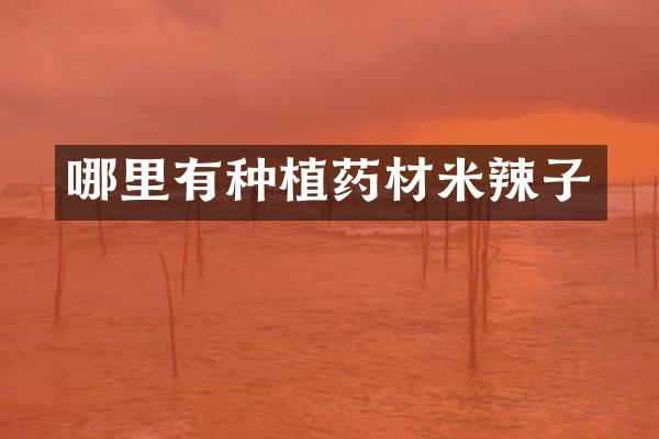 哪里有种植药材米辣子