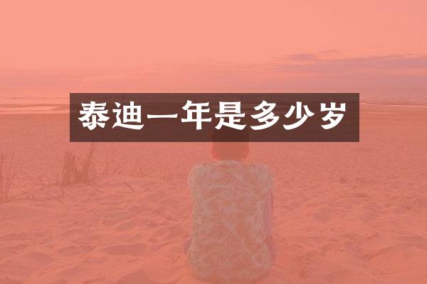 泰迪一年是多少岁