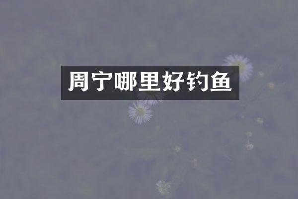 周宁哪里好钓鱼