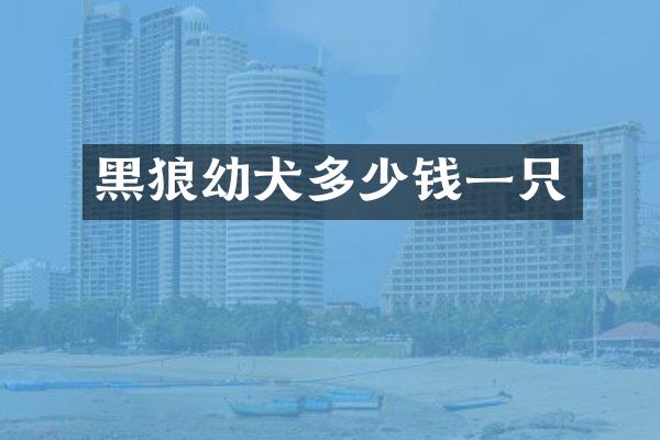 黑狼幼犬多少钱一只