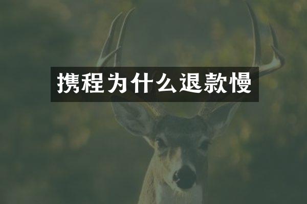 携程为什么退款慢