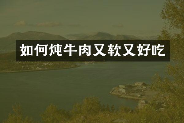 如何炖牛肉又软又好吃