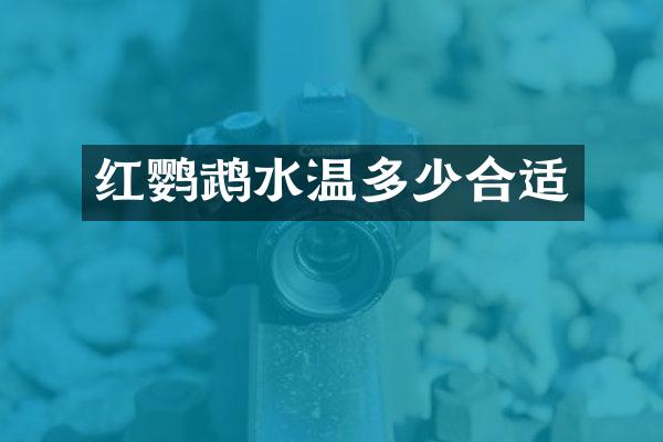 红鹦鹉水温多少合适