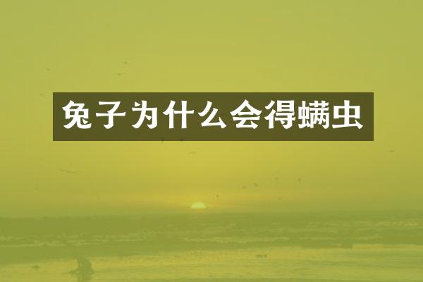 兔子为什么会得螨虫