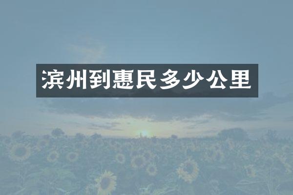 滨州到惠民多少公里