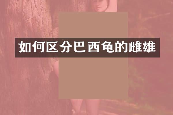 如何区分巴西龟的雌雄