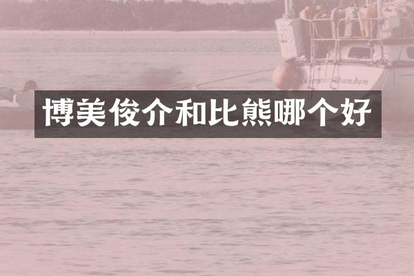 博美俊介和比熊哪个好