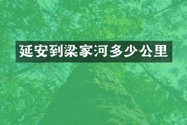 延安到梁家河多少公里