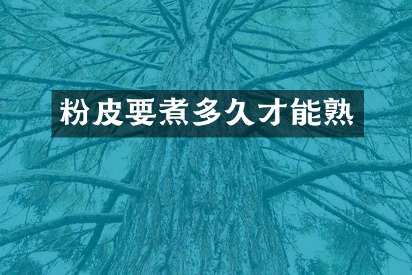 粉皮要煮多久才能熟