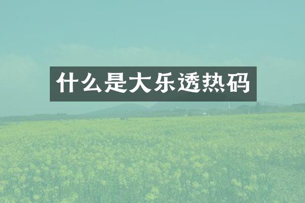 什么是大热码