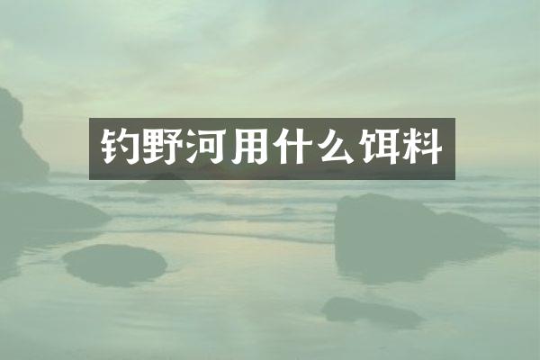 钓野河用什么饵料