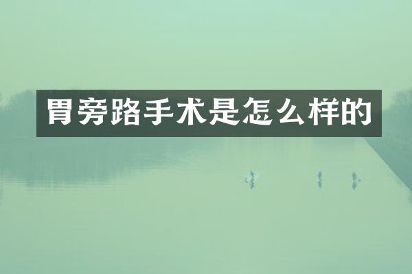 胃旁路手术是怎么样的