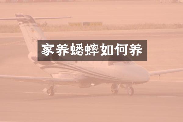 家养蟋蟀如何养