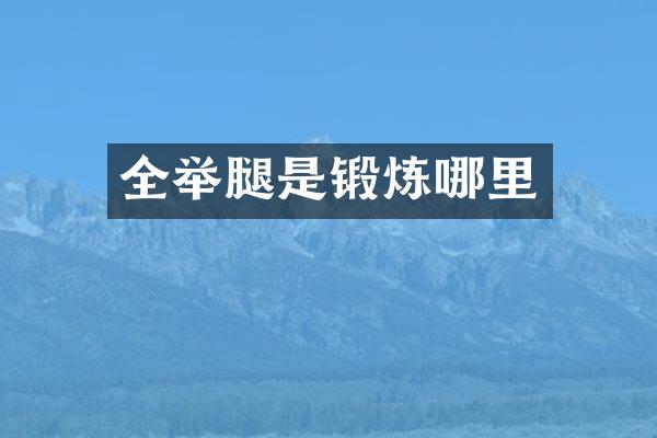 全举腿是锻炼哪里