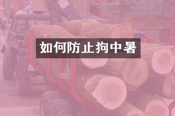 如何防止狗中暑