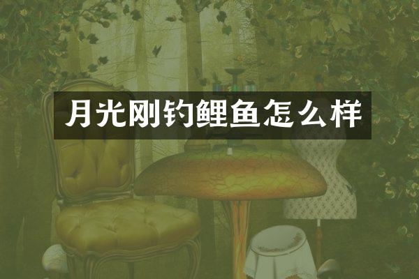 月光刚钓鲤鱼怎么样