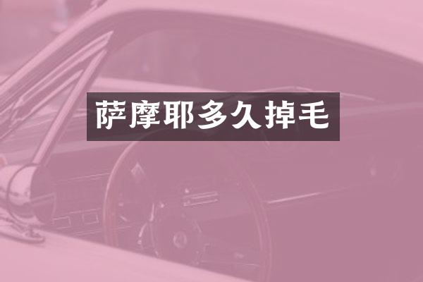 萨摩耶多久掉毛