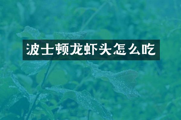 波士顿龙虾头怎么吃