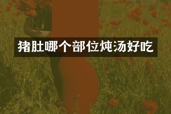 猪肚哪个部位炖汤好吃