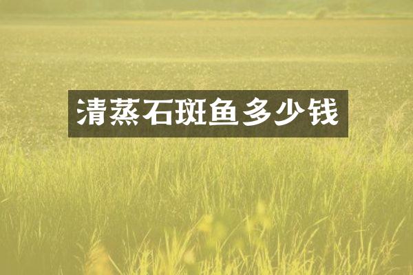 清蒸石斑鱼多少钱