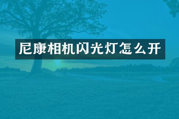 尼康相机闪光灯怎么开