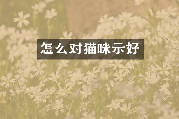 怎么对猫咪示好