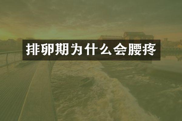 排卵期为什么会腰疼