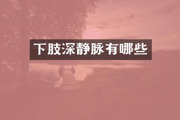 下肢深静脉有哪些