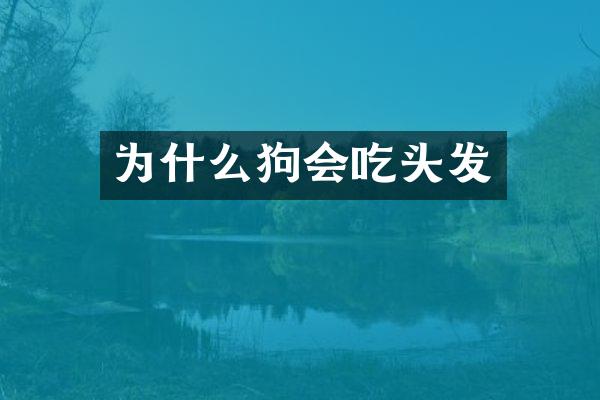 为什么狗会吃头发