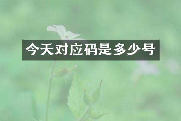 今天对应码是多少号