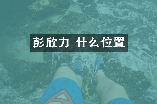 彭欣力 什么位置