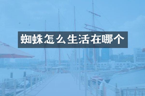 蜘蛛怎么生活在哪个