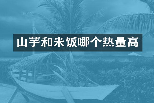 山芋和米饭哪个热量高