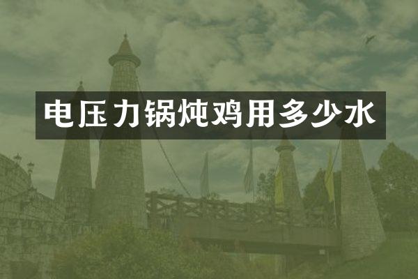 电压力锅炖鸡用多少水