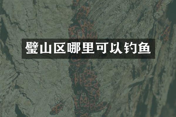 璧山区哪里可以钓鱼