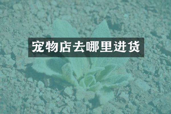 宠物店去哪里进货