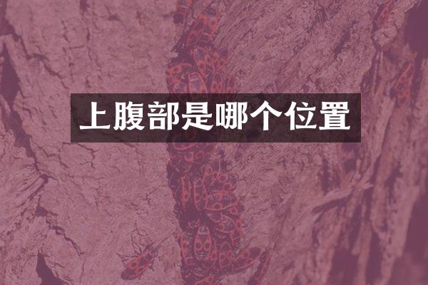 上腹部是哪个位置