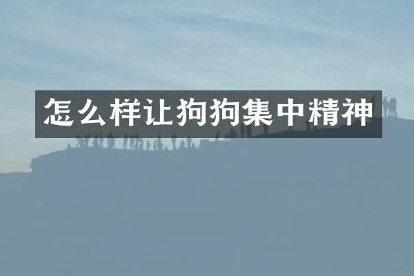 怎么样让狗狗集中精神